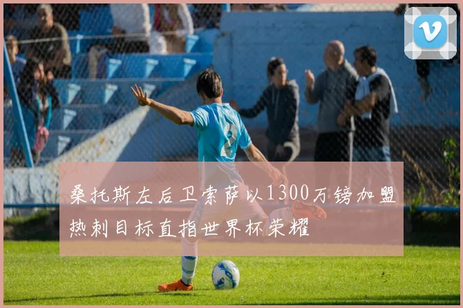 桑托斯左后卫索萨以1300万镑加盟热刺目标直指世界杯荣耀