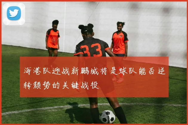海港队迎战新鹏城将是球队能否逆转颓势的关键战役