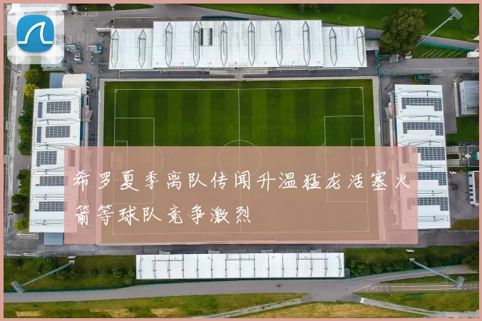 希罗夏季离队传闻升温猛龙活塞火箭等球队竞争激烈