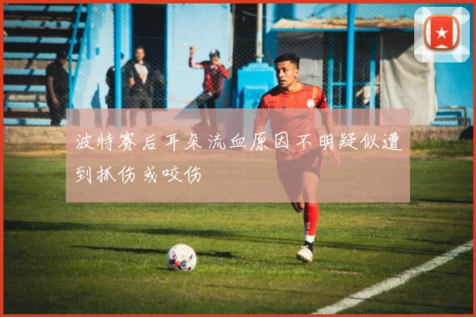 波特赛后耳朵流血原因不明疑似遭到抓伤或咬伤